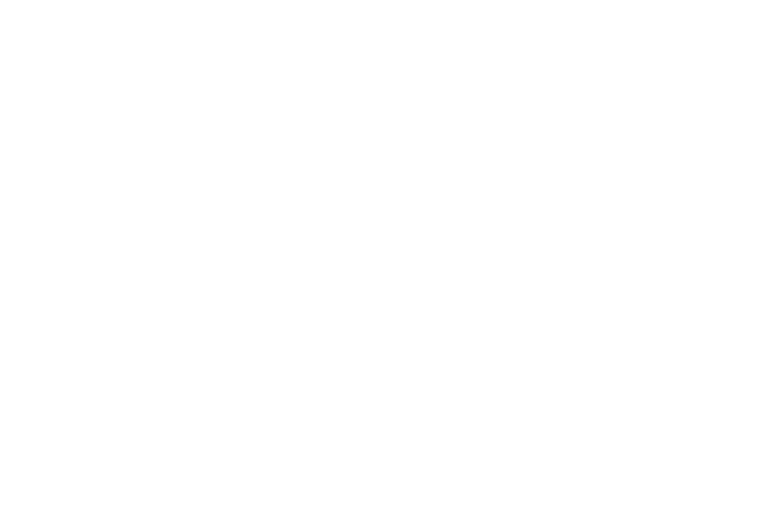 Logo Irma